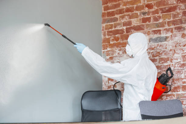 Mold Remediation for Rental Properties in Wintersville, OH