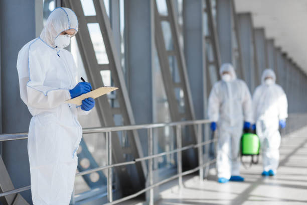 Best Emergency Mold Remediation  in Wintersville, OH