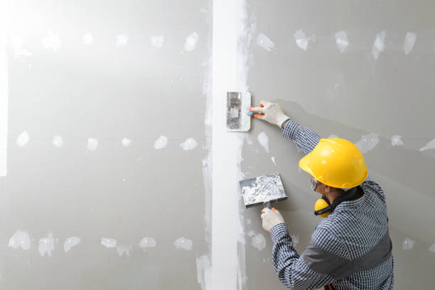 Mold Odor Removal Services