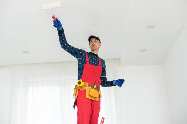 Mold Removal for HVAC Installations in Wintersville, OH